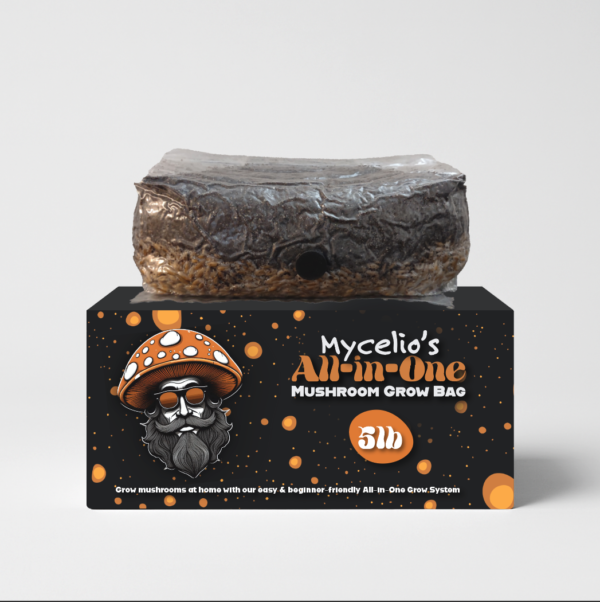 All-in-One Mushroom Grow Bag | 2-Pack - Image 2